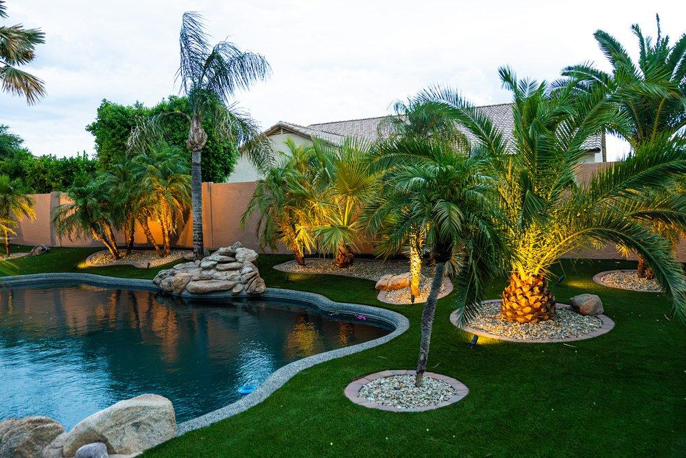 Backyard oasis with pool, palm trees, and landscape lighting