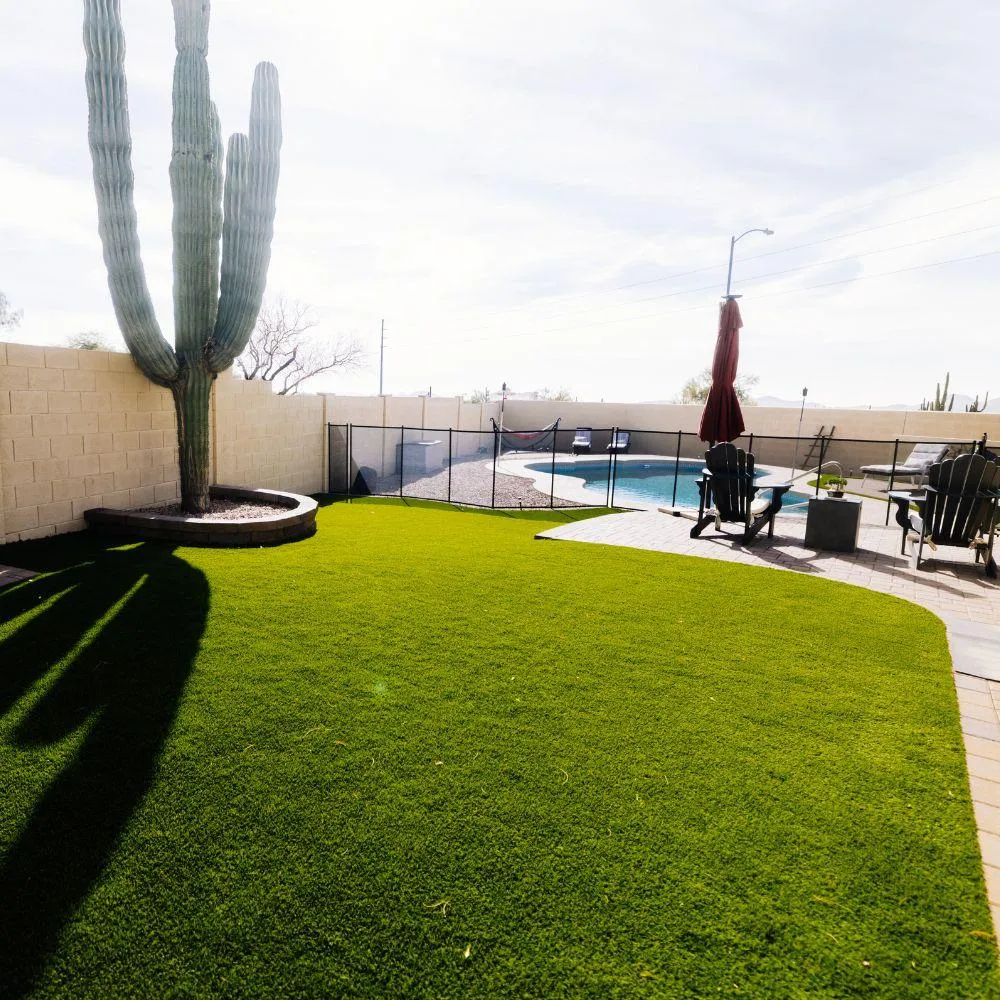 Turf yard with saguaro cactus and pool beyond