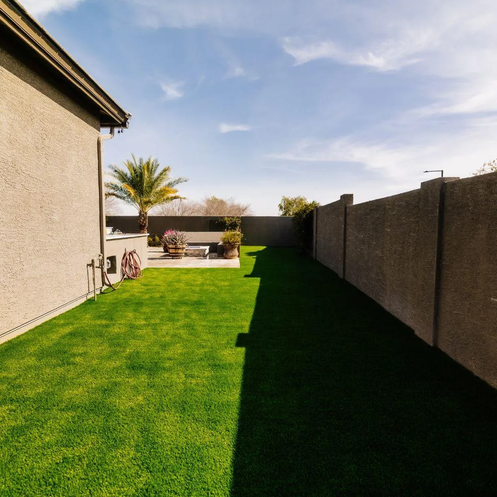 Side yard turf strip along home with palm tree accent