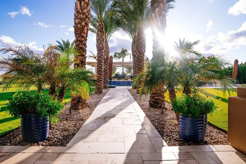 Travertine walkway between palms toward pool