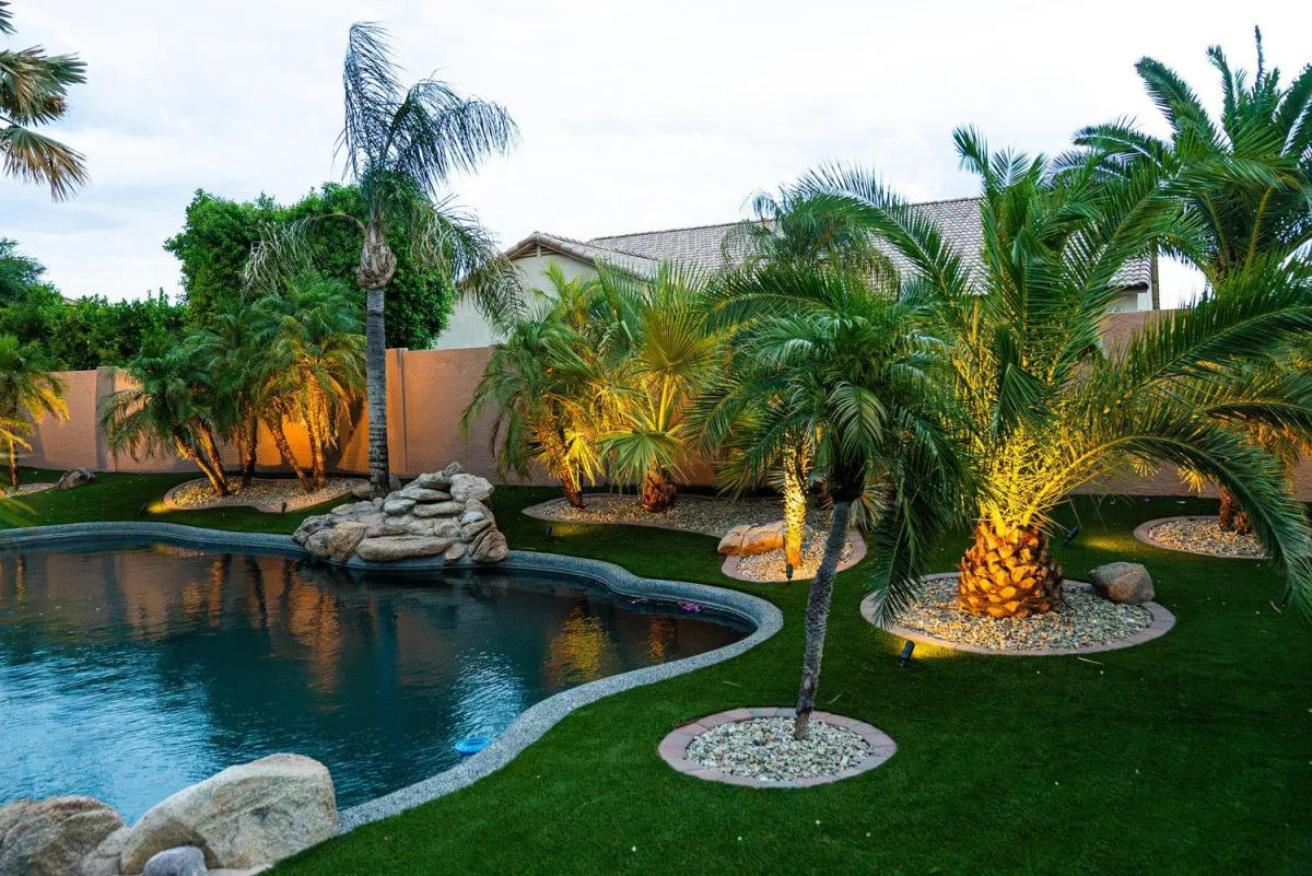 Tropical poolside landscape with illuminated palms at dusk